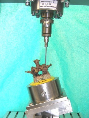 Test bench measuring the needle insertion force in a human vertebra specimen