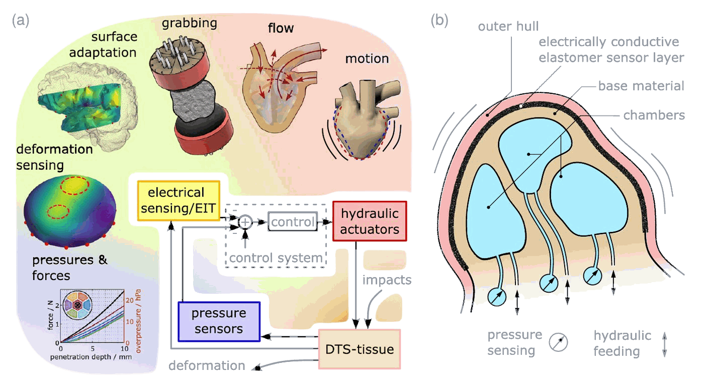 Diagram of the DTS tissue principle with sensing, hydraulic actuation, control loop and applications, and a cross-section of its layers