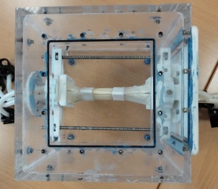 Acrylic phantom housing with the latex heart mounted in the centre