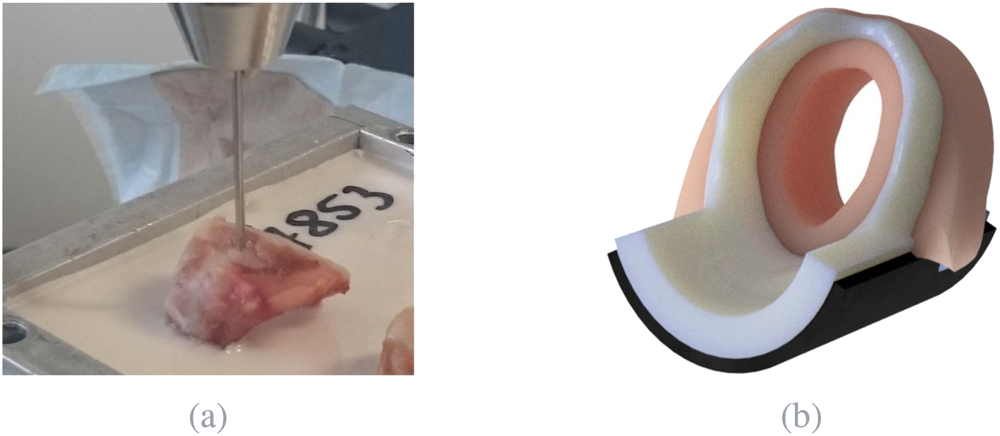 Force measurement on a real cricoid cartilage and rendering of the artificial cricoid with soft tissue and sensor mat