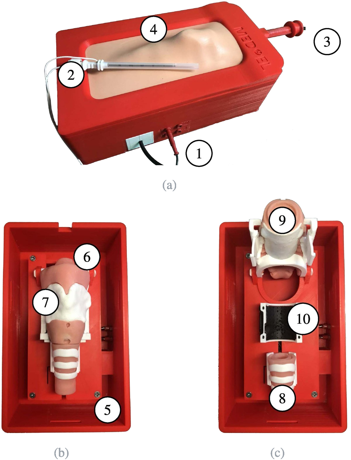 Red simulator case closed with artificial skin, opened with inner anatomy, and with disassembled cricoid and sensor mat